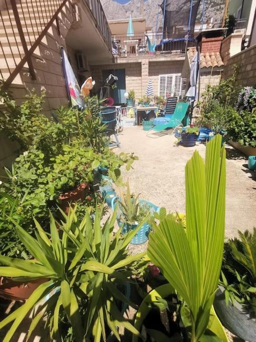 Makarska Blue Oasis Apartman 2-6 Exteriér fotografie